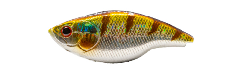 BLAZE 73 SILENT (Perch)