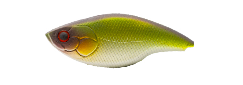 BLAZE 73 SILENT (Matt Green Shiner)