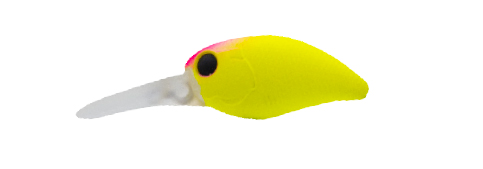 DEEP-J (Chartreuse Pink Head)