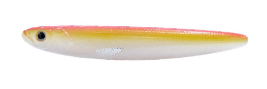 WT-DOG 110 (Pink Orange)